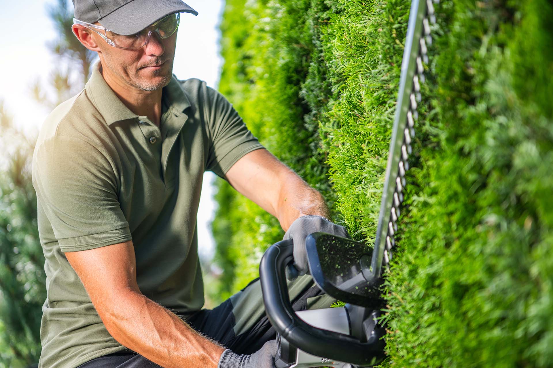 Precise hedge trimming for curb appeal — Belleville property care, Hedge trimming service as part of Belleville property maintenance