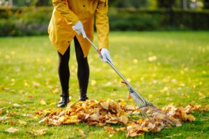 Autumn leaves cleanup by Belleville's local property maintenance experts.