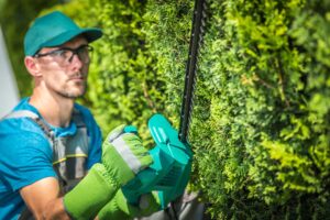 Local Property Maintenance Belleville team trimming green hedges for seasonal upkeep