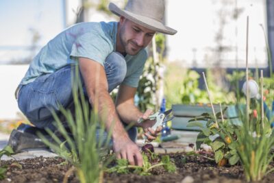 Young man tending to plants in garden Ignite Property Maintenance team delivering seasonal services in Belleville
